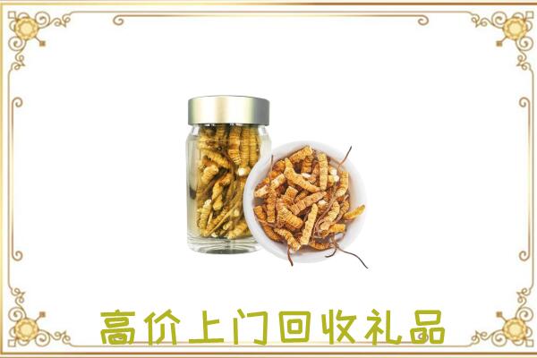 张家界周边回收虫草